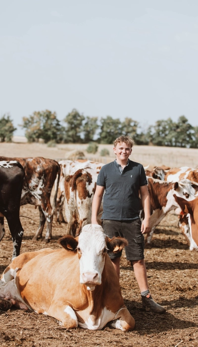 les-fromentaux-farm-life-summer les-fromentaux-farm-life-summer
